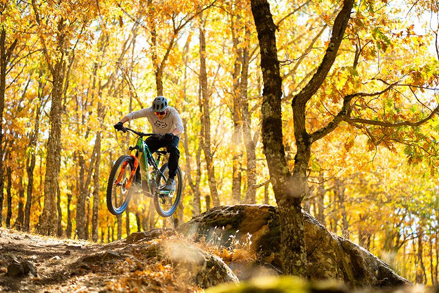 Accion Moustache Game 01 Accion Moustache Game 01