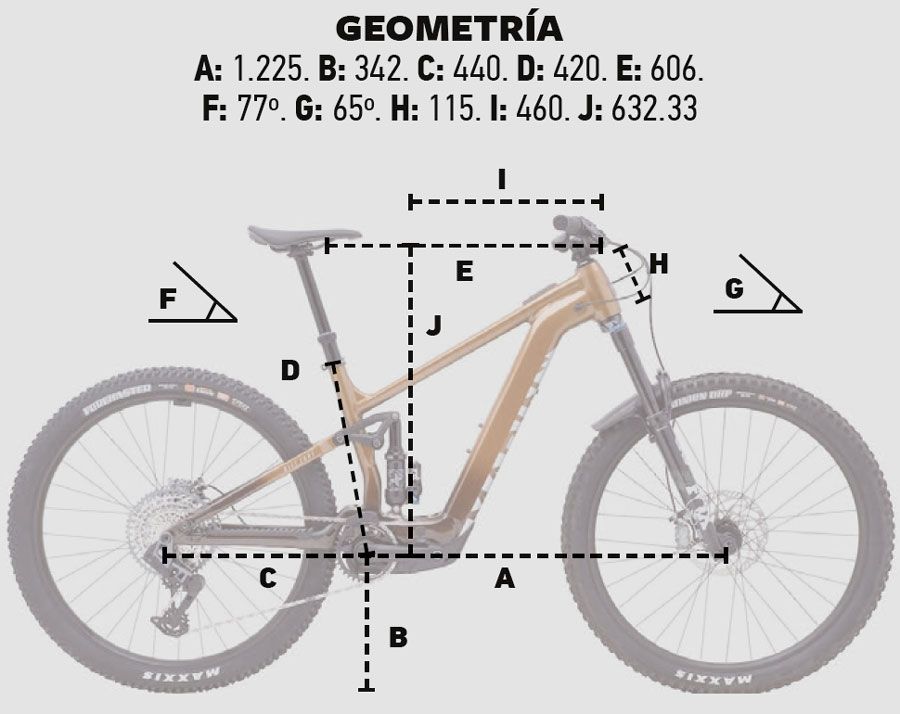Geometría