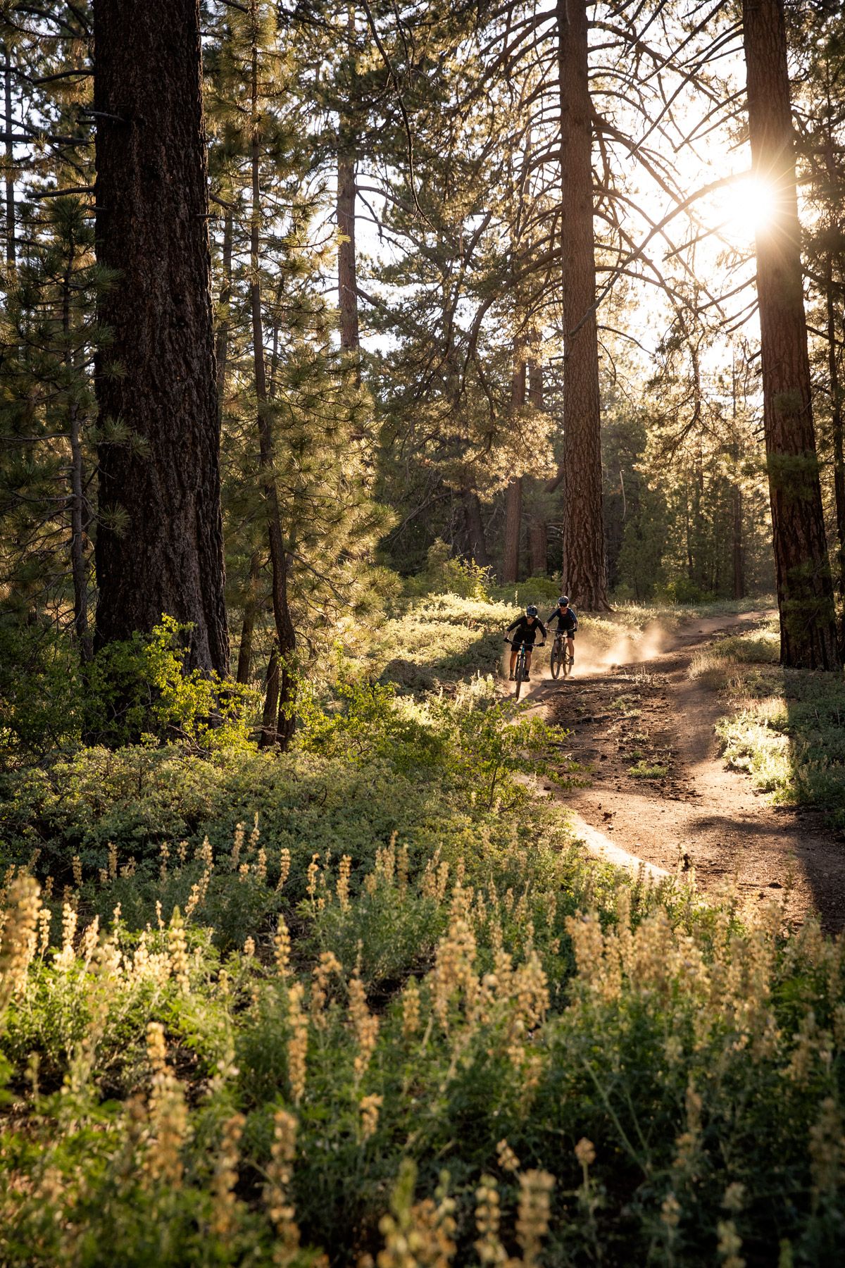 9 principios básicos de entrenamiento que nunca debes olvidar detalle 2