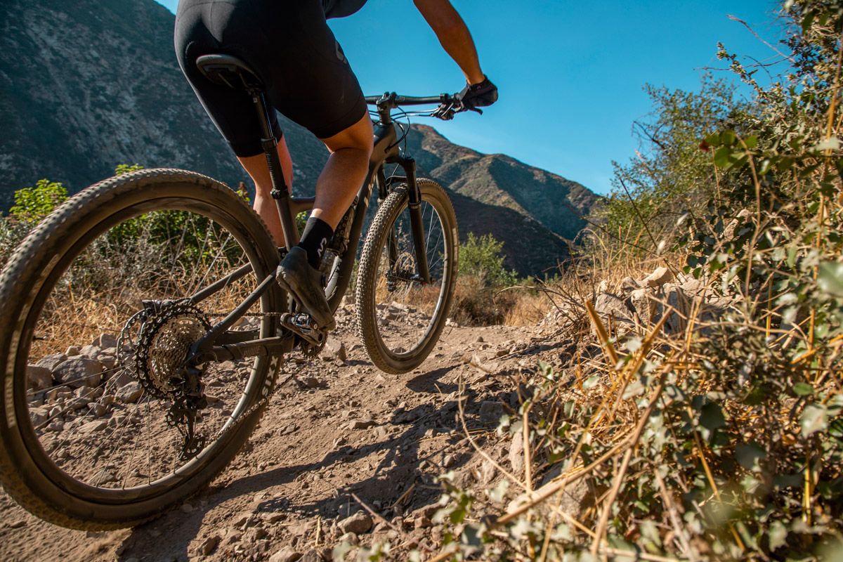 9 principios básicos de entrenamiento que nunca debes olvidar deatlle