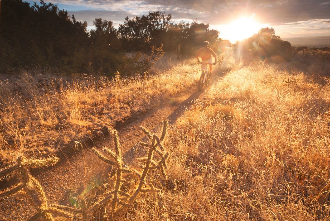 9 principios básicos de entrenamiento que nunca debes olvidar detalle 0