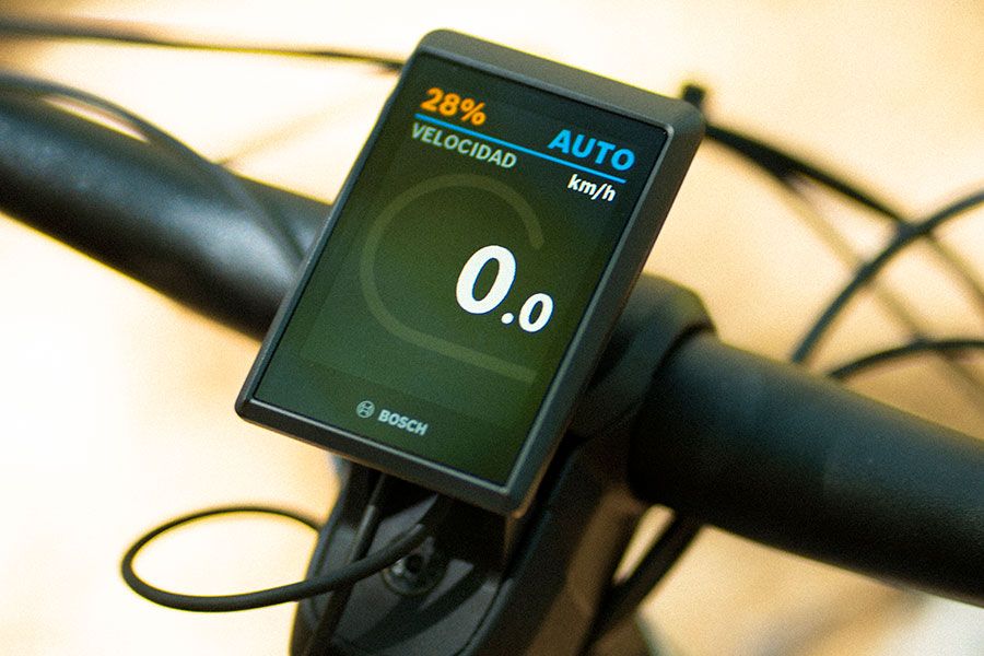 Estudio Focus Thron2 9 (12)