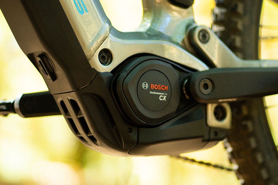 Estudio Focus Thron2 9 (7)