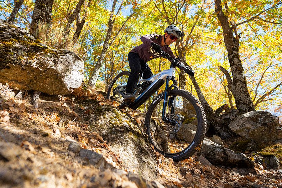 Accion Focus Thron2 9