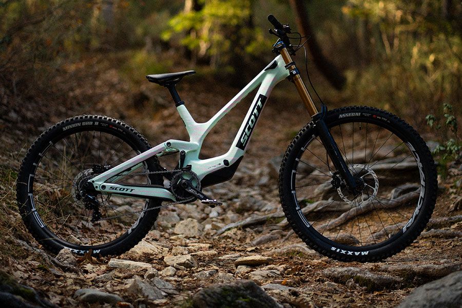 Estudio Scott Gambler (1)