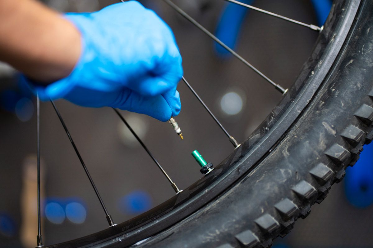 PASO 15 Mecanica mousse 21