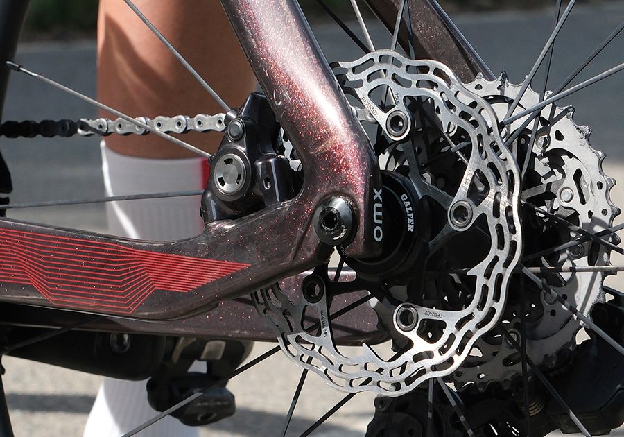 Galfer Shark (Montados)