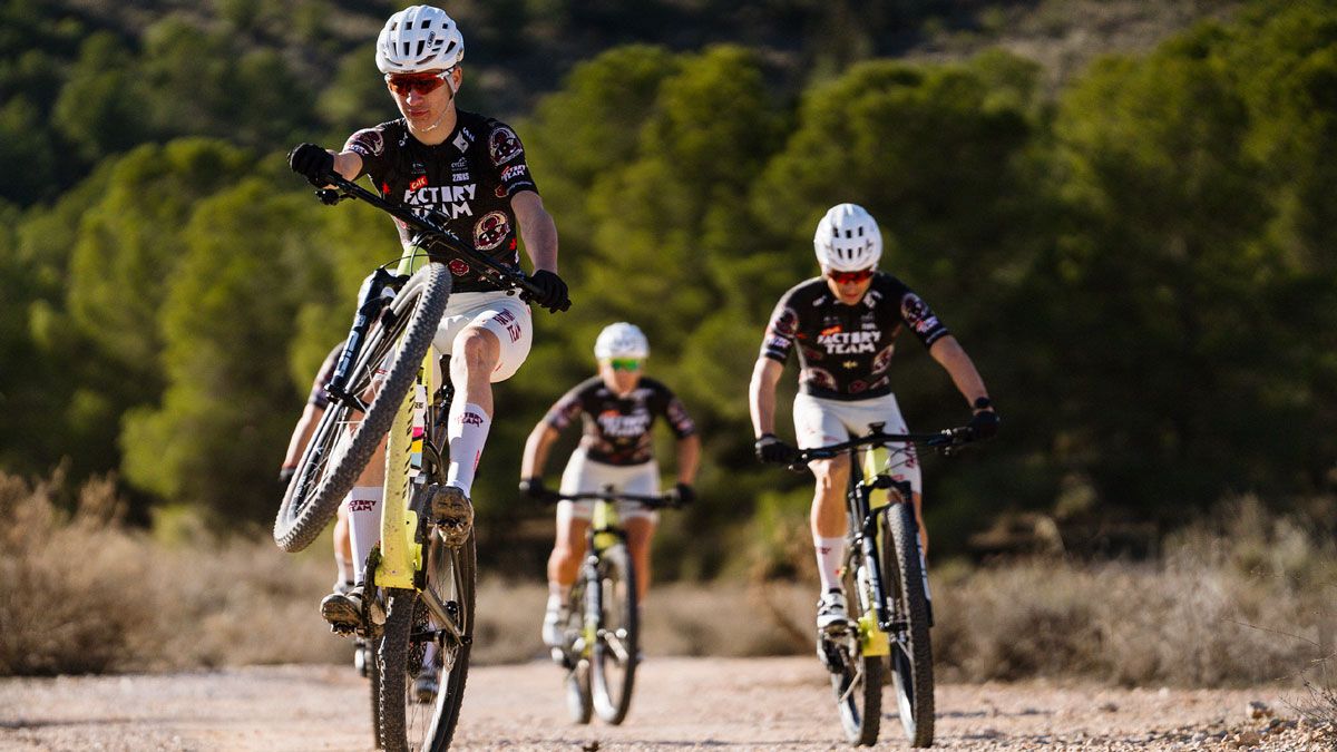 Gobik presenta su nuevo kit “The Art of Celebration”