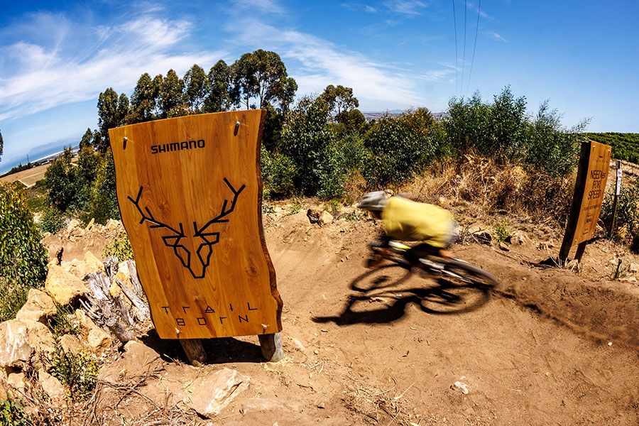 642008 SHIMANO Trail Born 2026 01 e659d0 original 1769496682