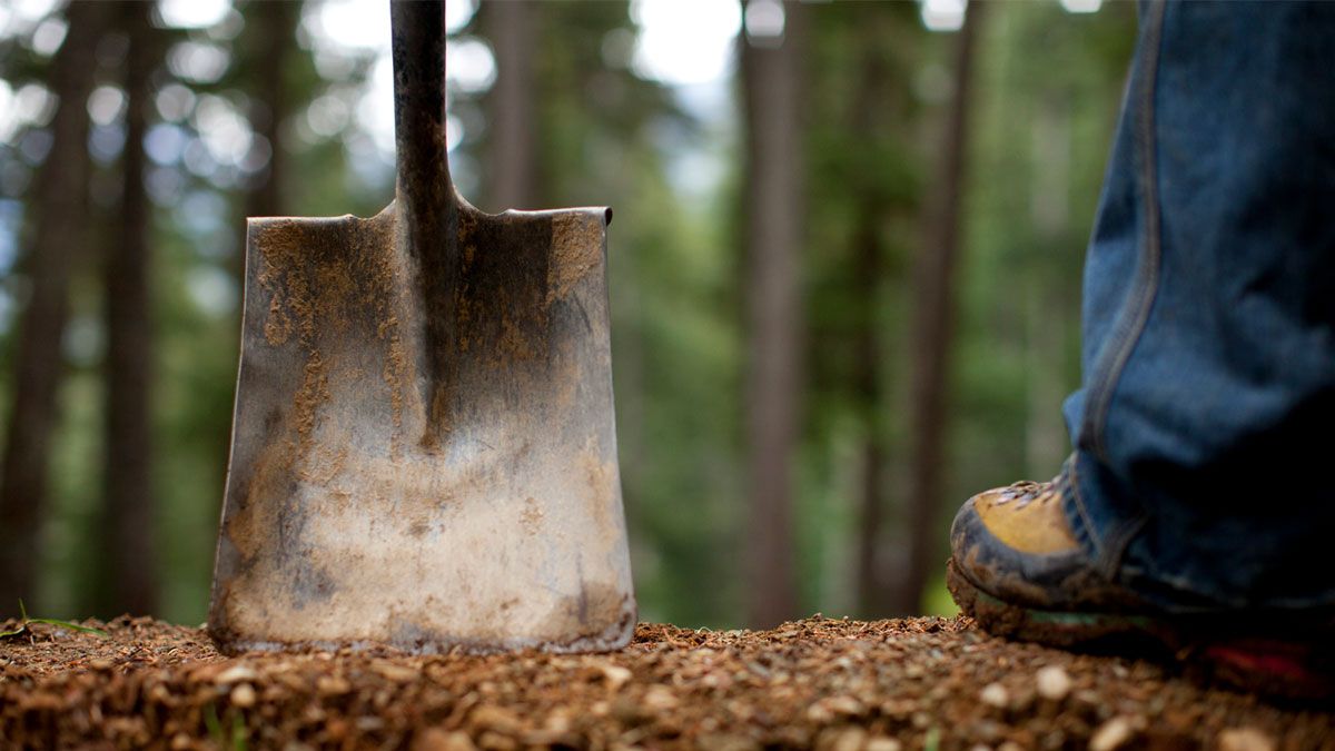 Shimano Trail Born se expande en 2026. 21 nuevos proyectos y llegada a Sudamérica y Asia