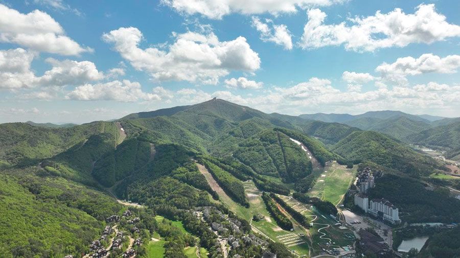 01K94HVYVC0RZ5MYATTEXSNYB1 newLargeThumb