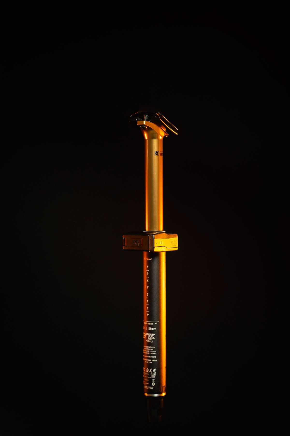 Tija Fox Transfer Neo  (2)