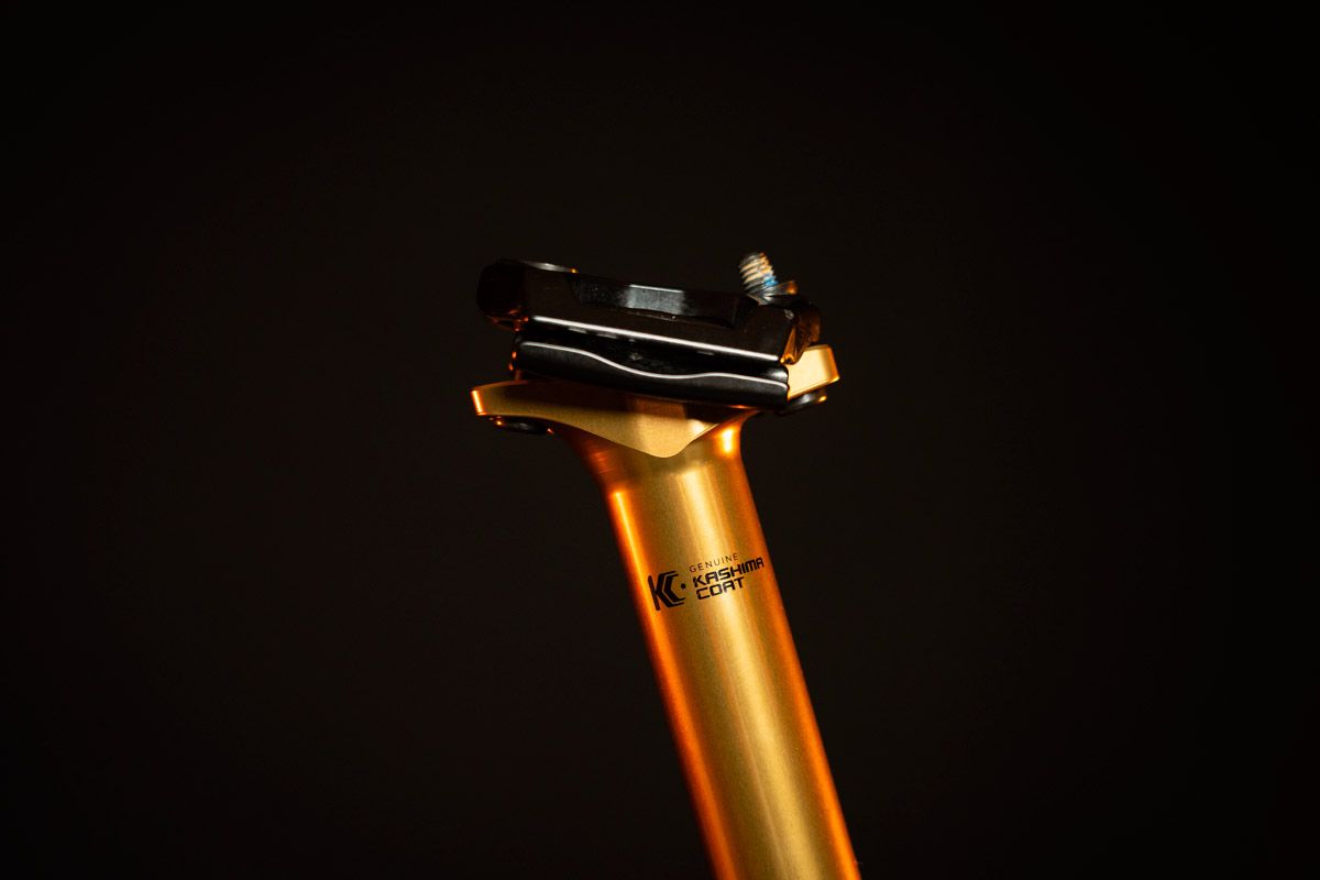 Tija Fox Transfer Neo  (5)