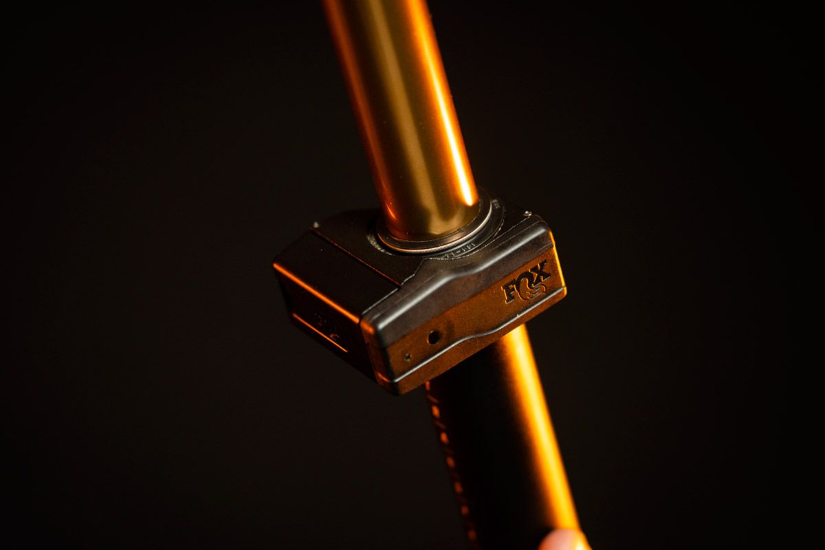 Tija Fox Transfer Neo  (6)