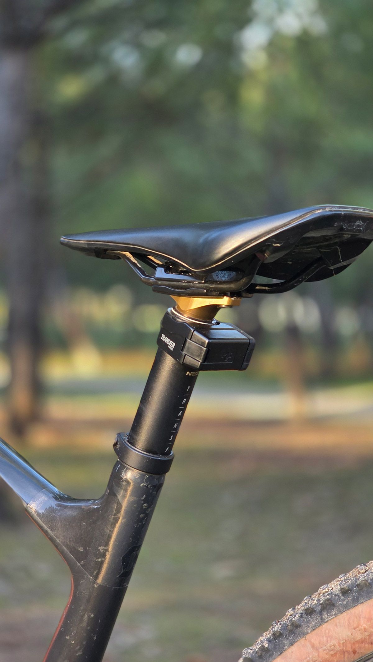 2Fox Transfer bajada