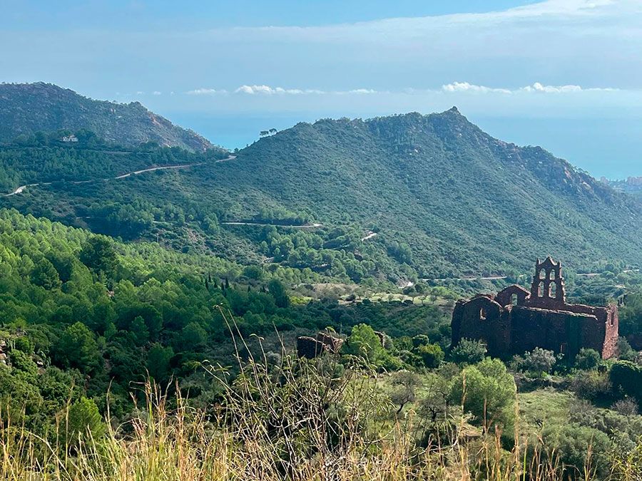 Parque Natural del Desierto de las Palmas