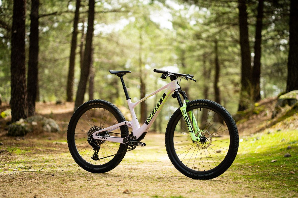 Accion comparativa Flight Attendant (23)