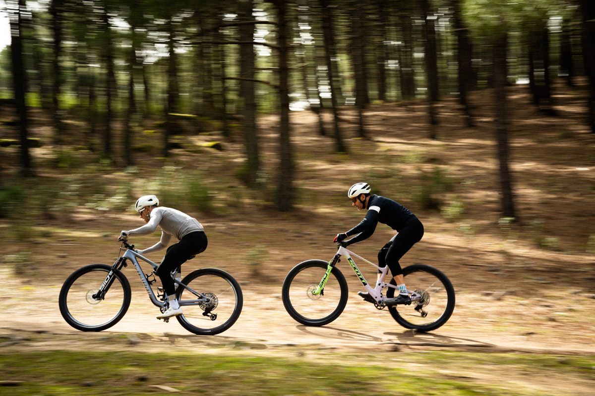 Accion comparativa Flight Attendant (5)