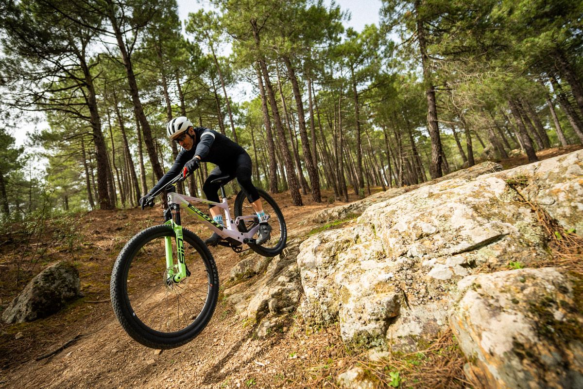 Accion comparativa Flight Attendant (18)