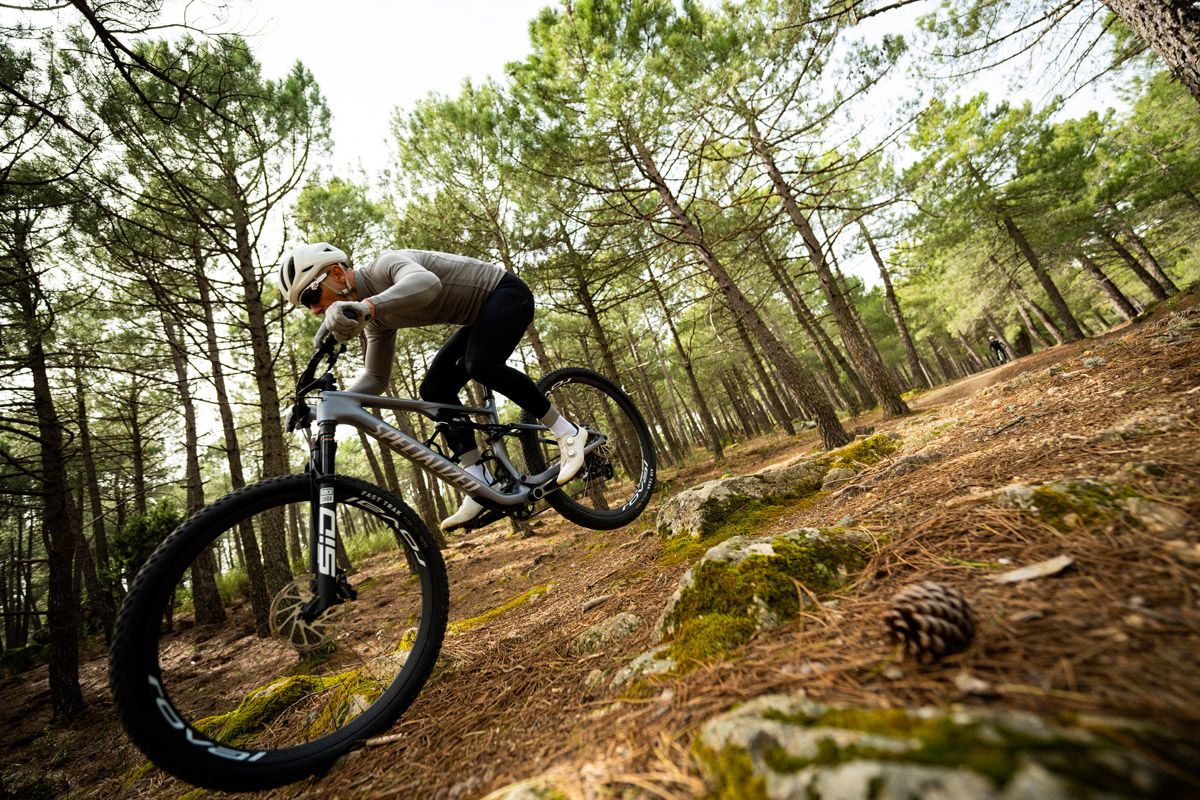 Accion comparativa Flight Attendant (14)