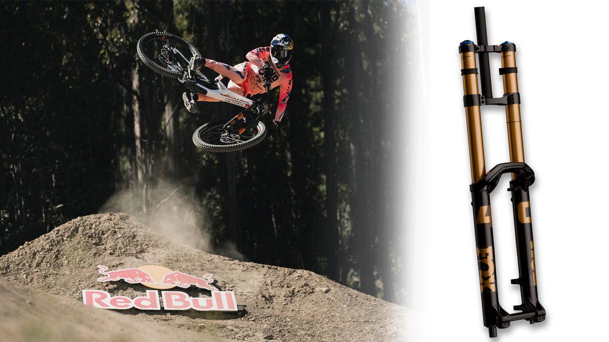 Hazte un Jackson Goldstone. Nueva FOX 40 2027