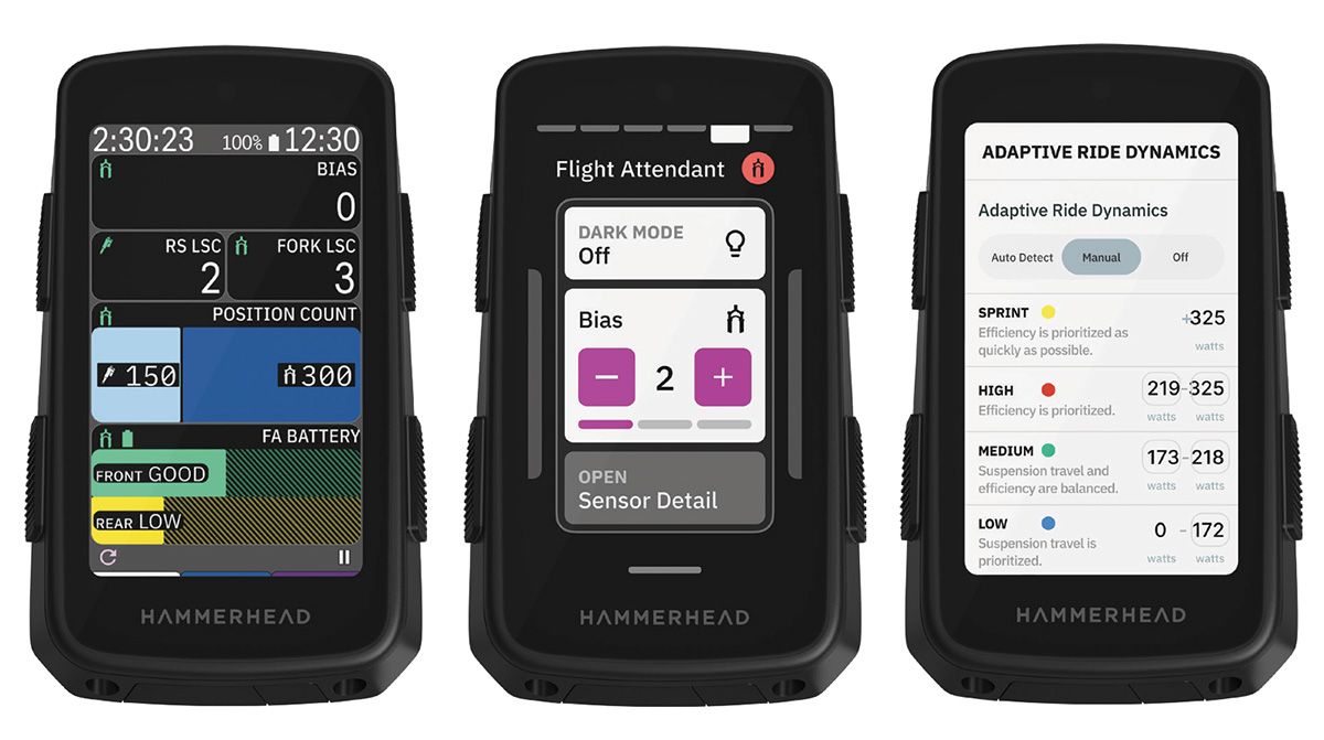 Hammerhead Karoo con Flight Attendant (10)