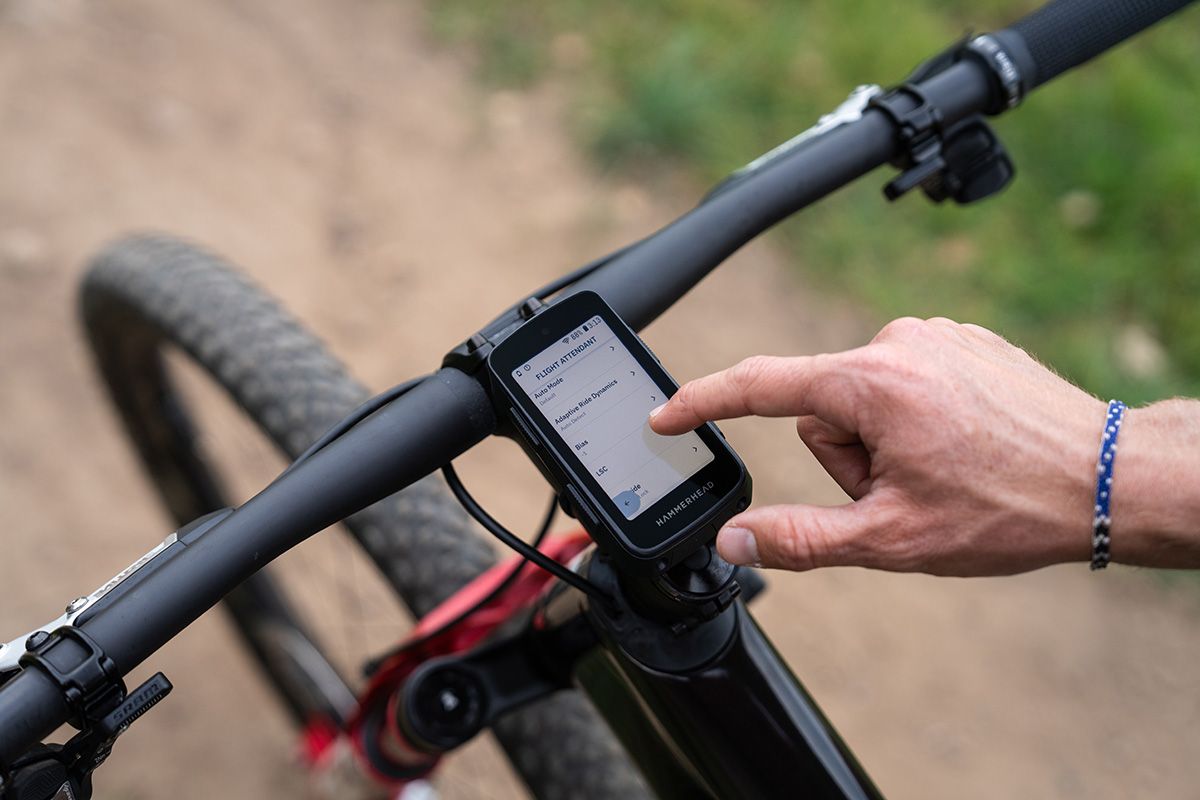 Hammerhead Karoo con Flight Attendant (12)