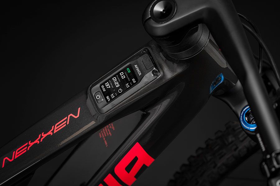 Berria Bikes   Nexxen Avinox DSC5269