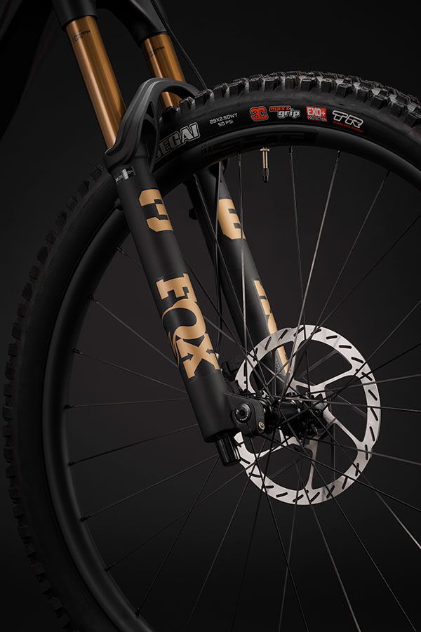 Berria Bikes   Nexxen Avinox DSC5276