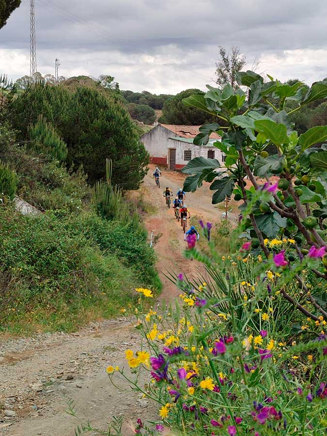 6d52e532 d728 4640 bfe1 ec5e18fd75a5