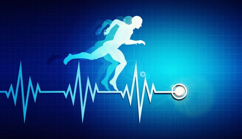 entendiendo la variabilidad de la frecuencia cardiaca vfc en el rendimiento deportivo 2 790x454