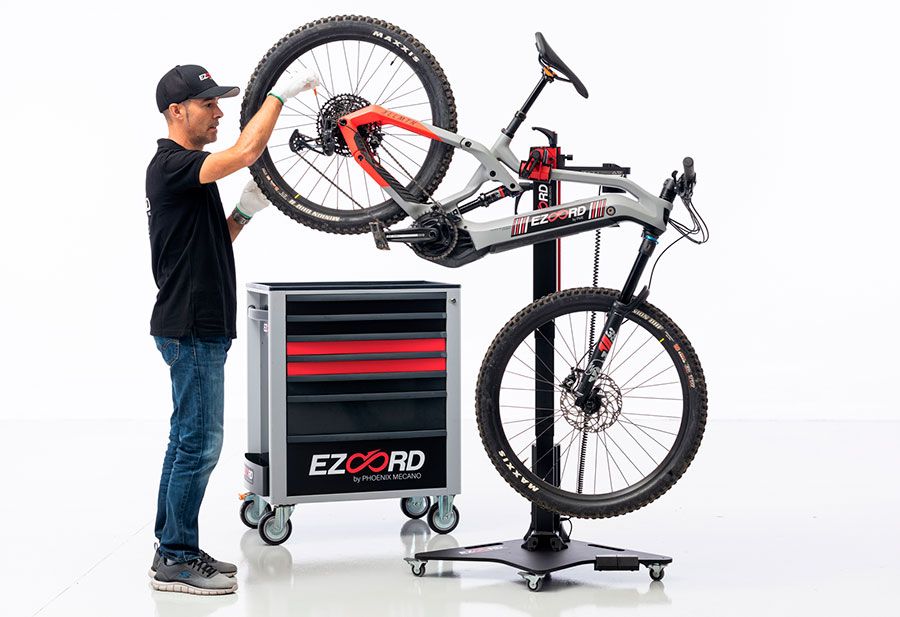 3 EZOORD