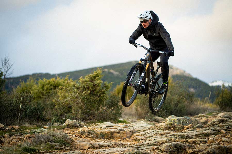 Specialized Stumpjumper 15