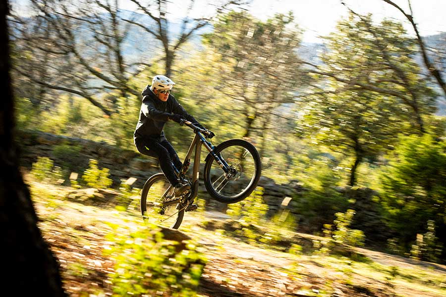 Accion Specialized Stumpjumper 15 (1)