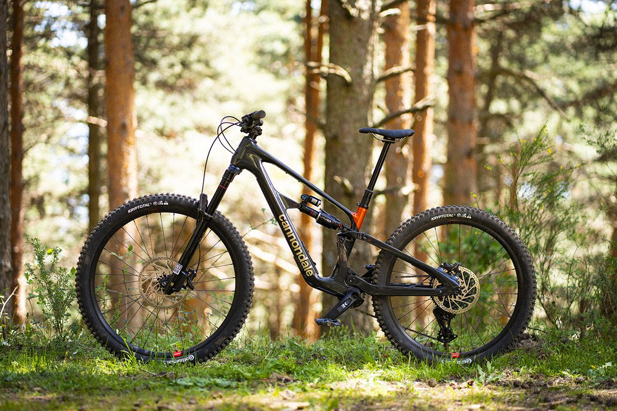 Cannondale Bad Habit 1  (21)
