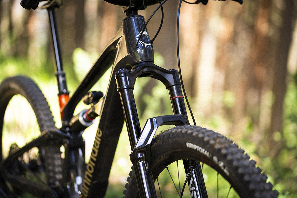 Cannondale Bad Habit 1  (13)
