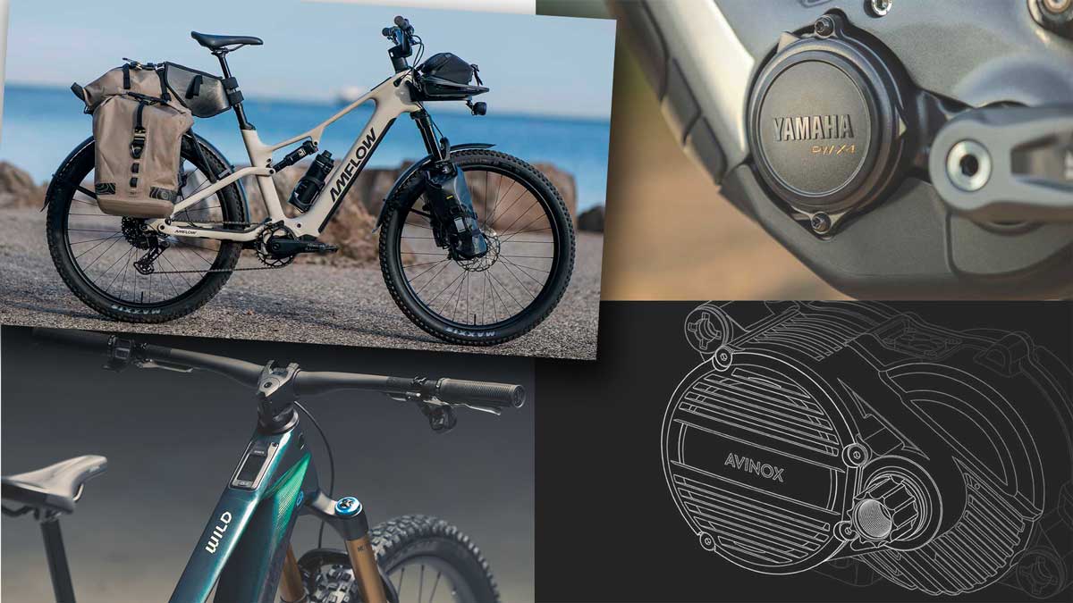 Top 10 MTB