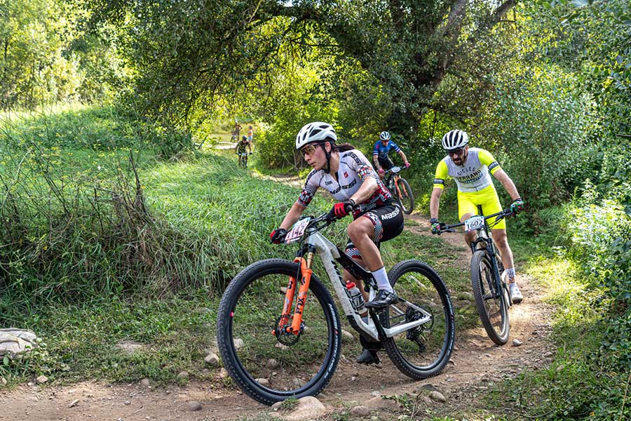 Shimano Super Cup Massi  2