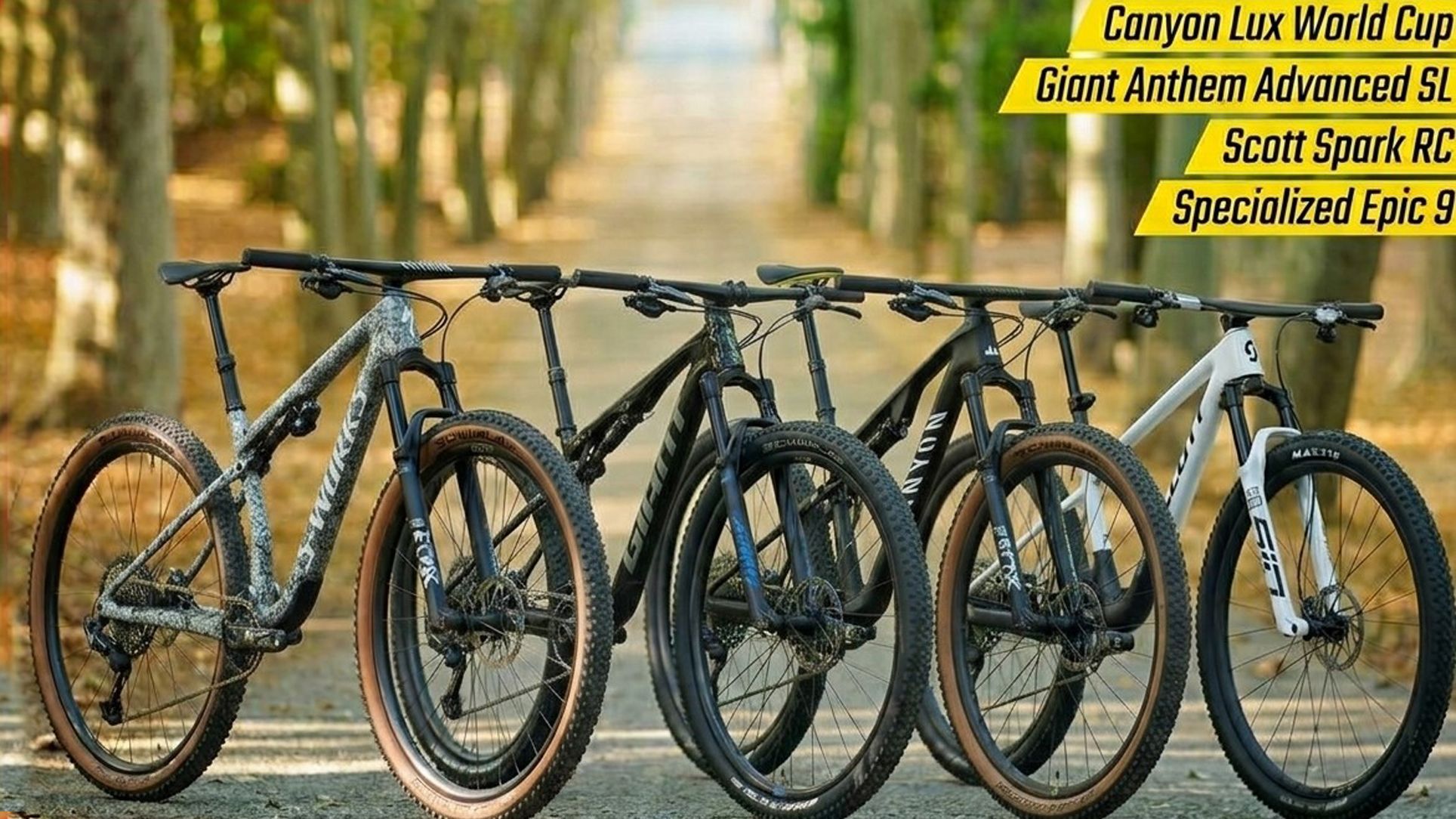 Canyon, Giant, Scott, Specialized, Cuál elegir Canyon, Giant, Scott, Specialized, Cuál elegir