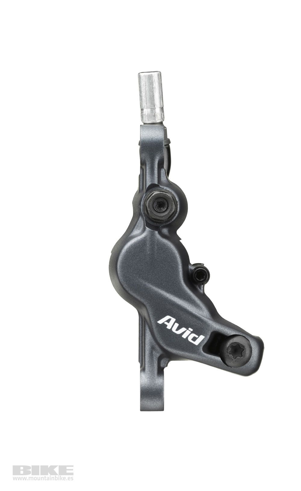 Novedades Avid 2014