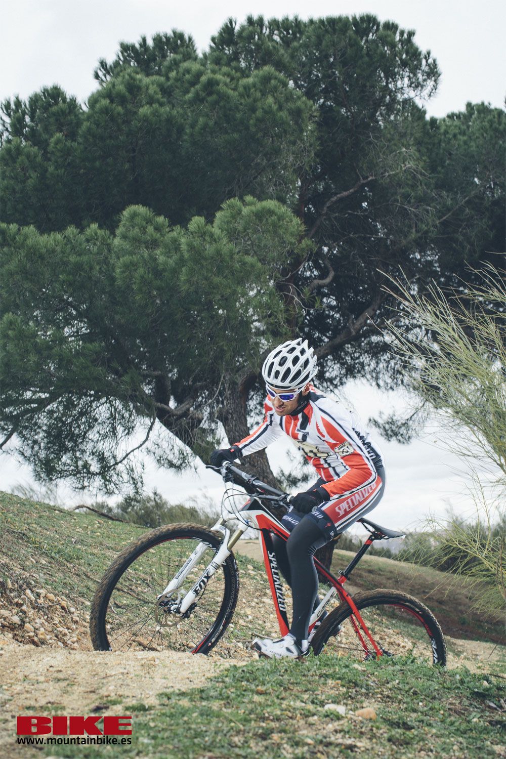 Specialized Carve 29 2013