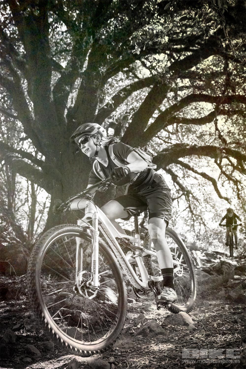 Specialized Rumor