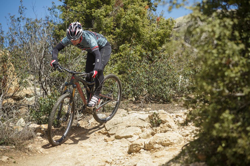 Santa Cruz Tallboy