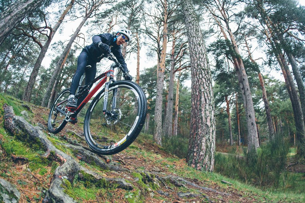 Orbea Occam Carbon S10