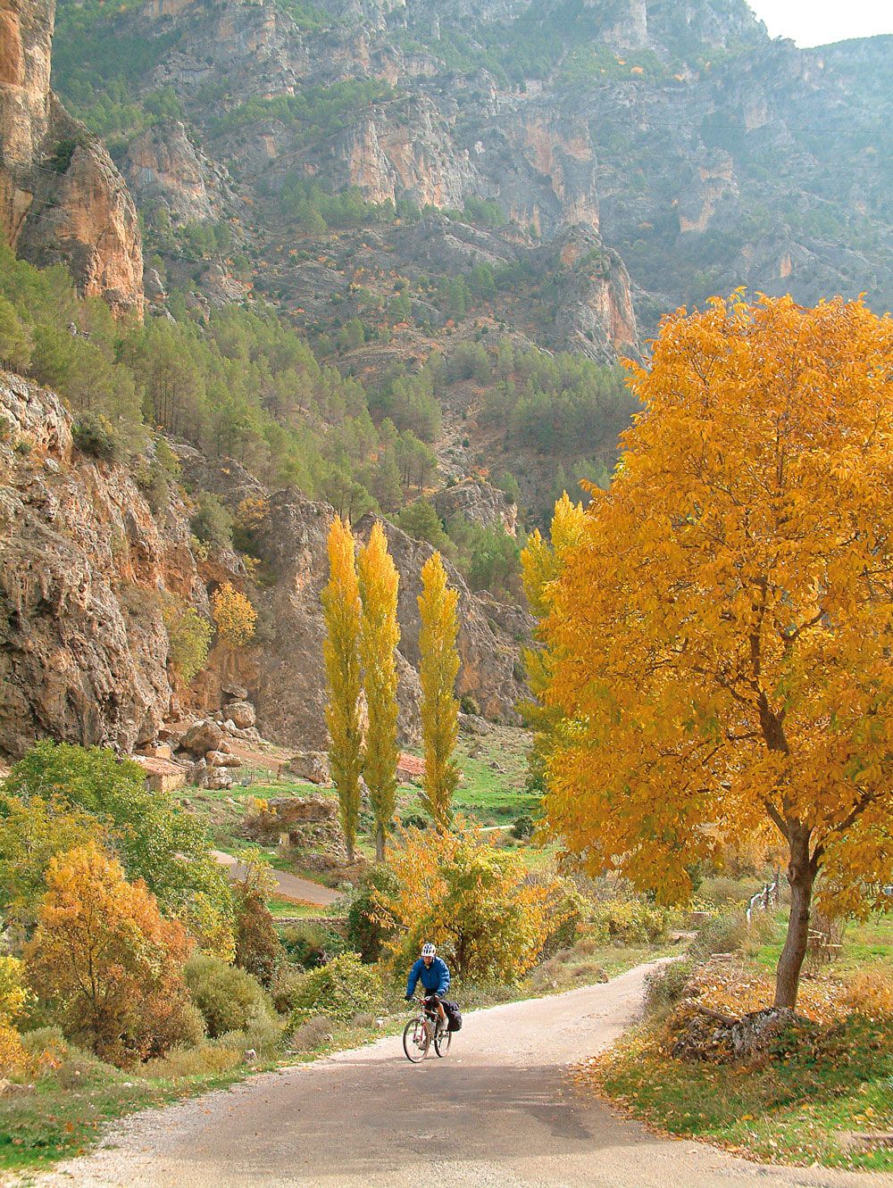 Otoño 2