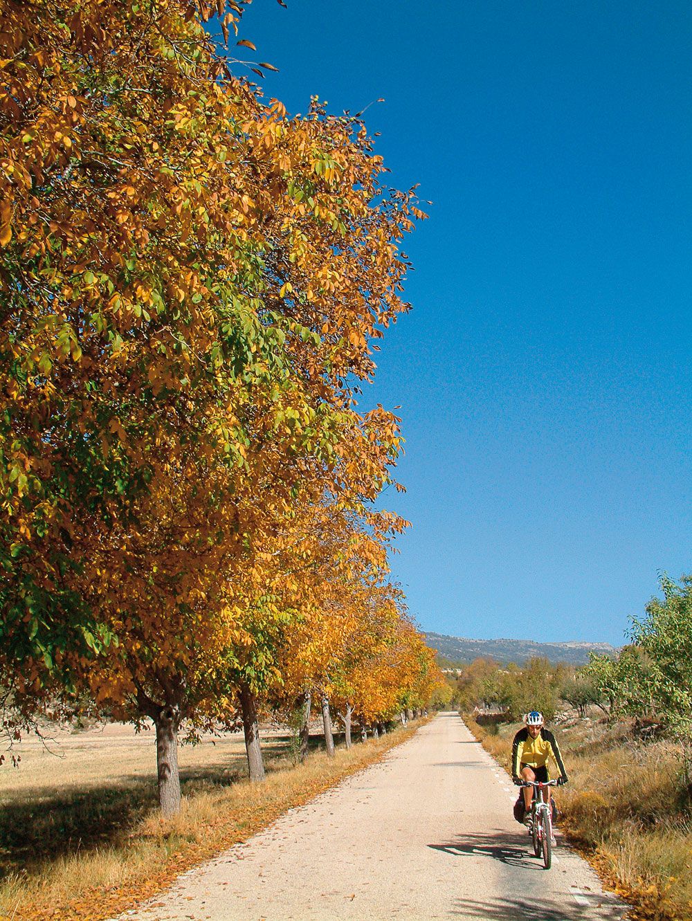 Otoño3