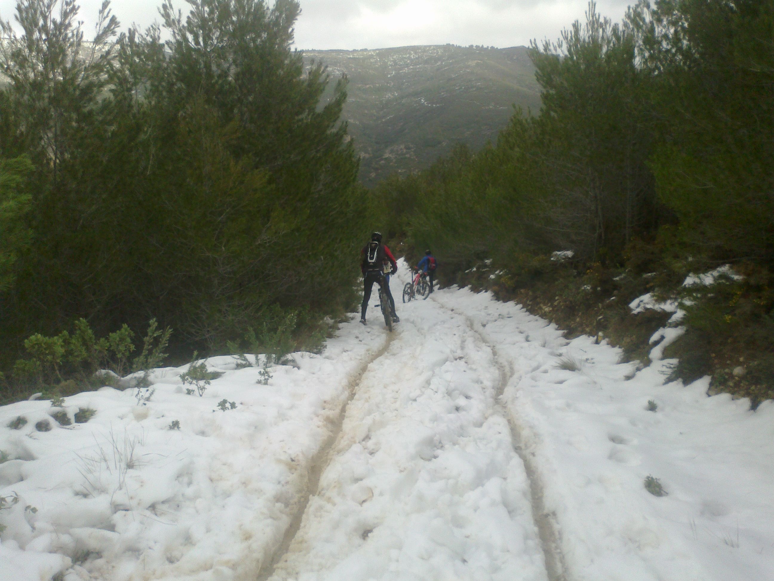 krryon@hotmail.com