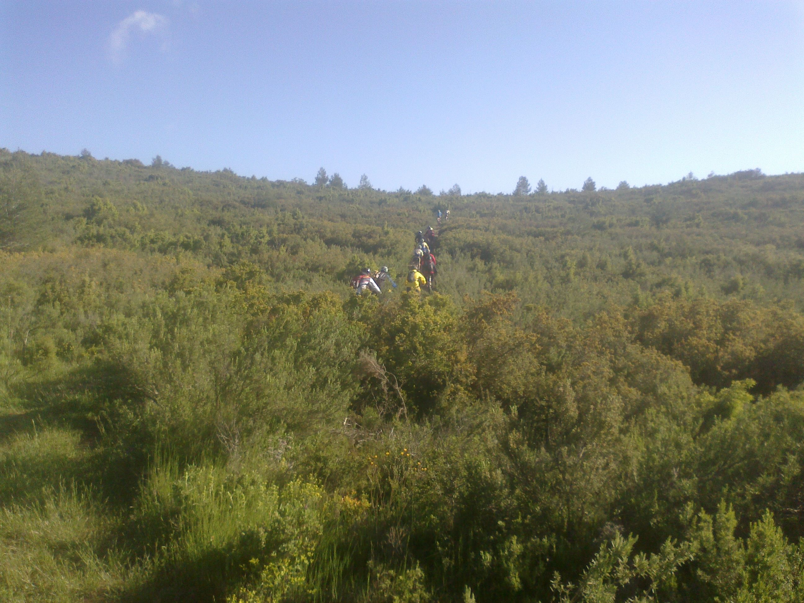 krryon@hotmail.com