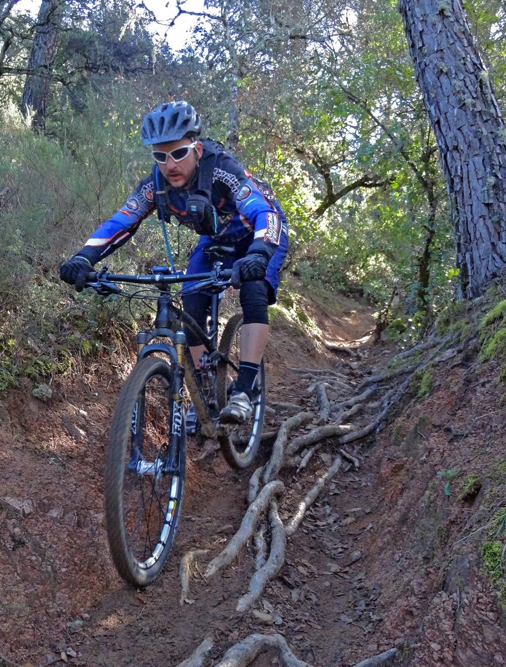 Test de Usuarios Canyon Nerve: Francis Jiménez
