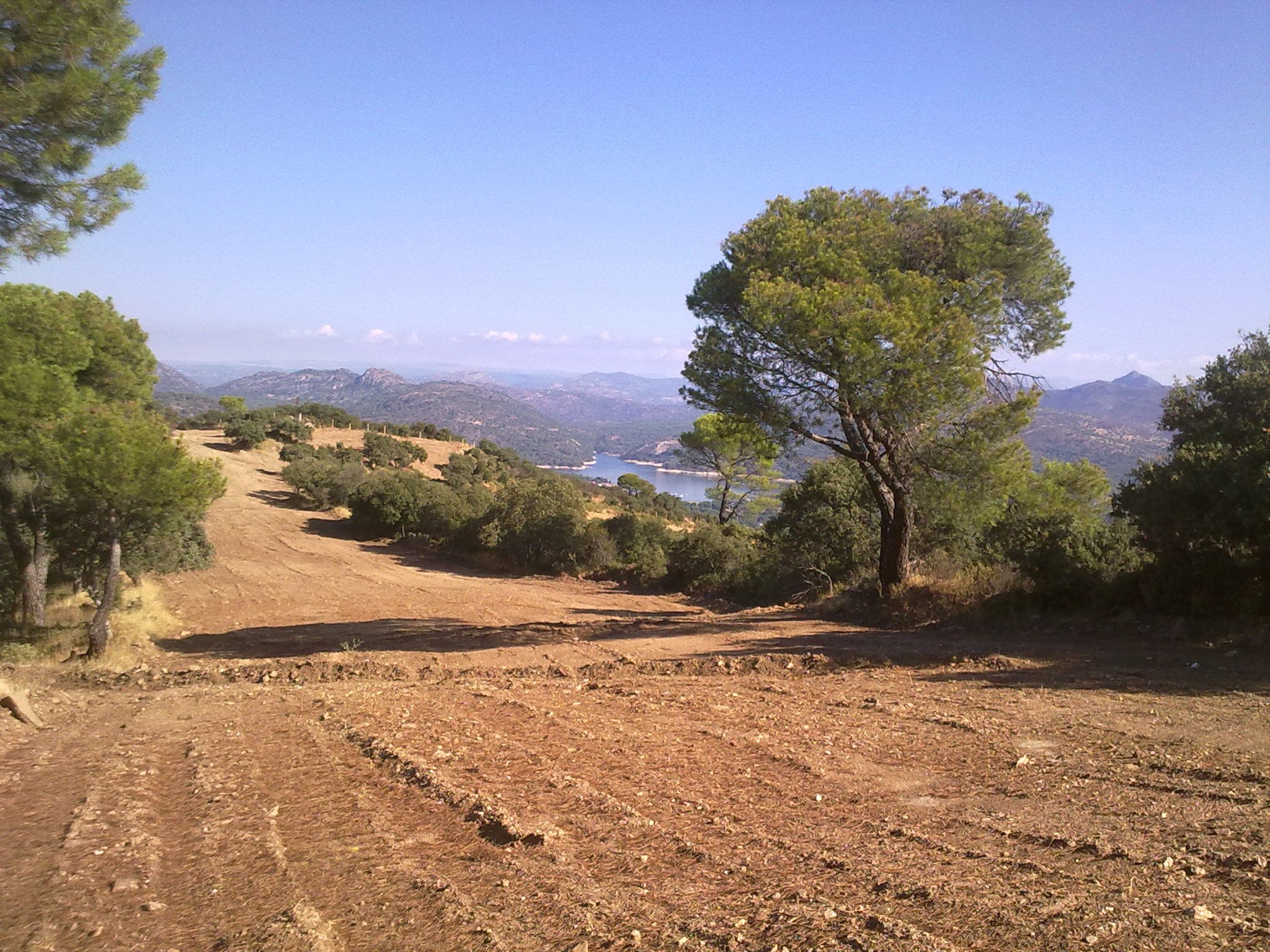 vivajavi